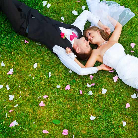 Sposi in Luna di Miele su un prato